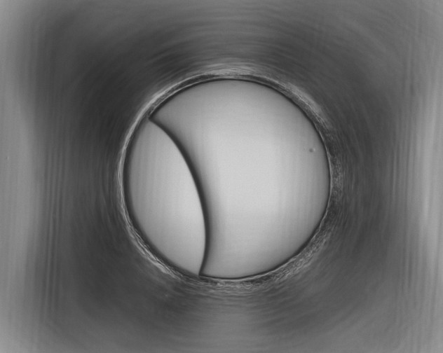 X0000116880840200912220943