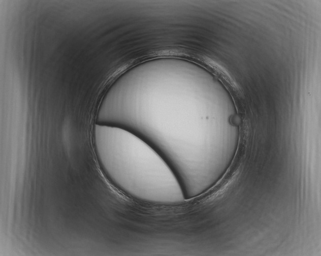 X0000116880841200912220943