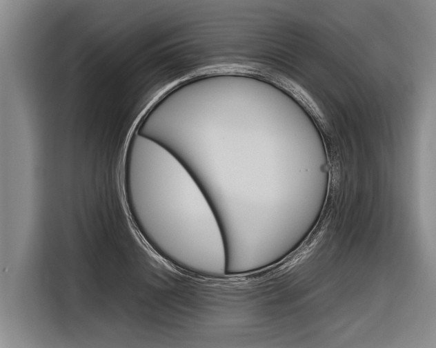 X0000116880844200912220943