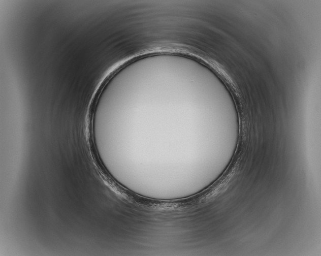 X0000116880846200912220943