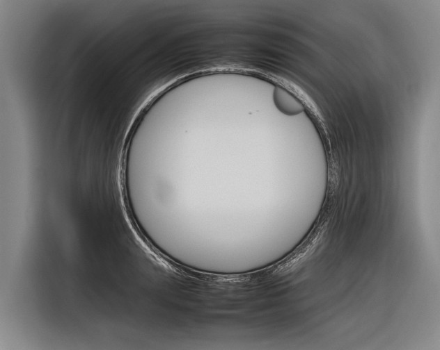 X0000116880847200912220943
