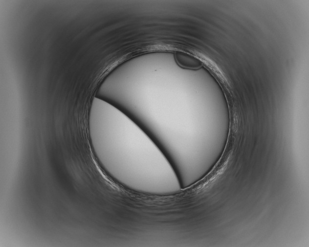X0000116880849200912220943