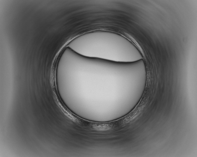 X0000116880851200912220943