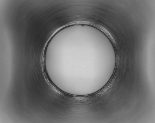 X0000116880852200912220943