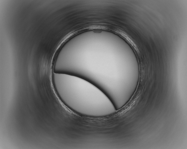 X0000116880853200912220943