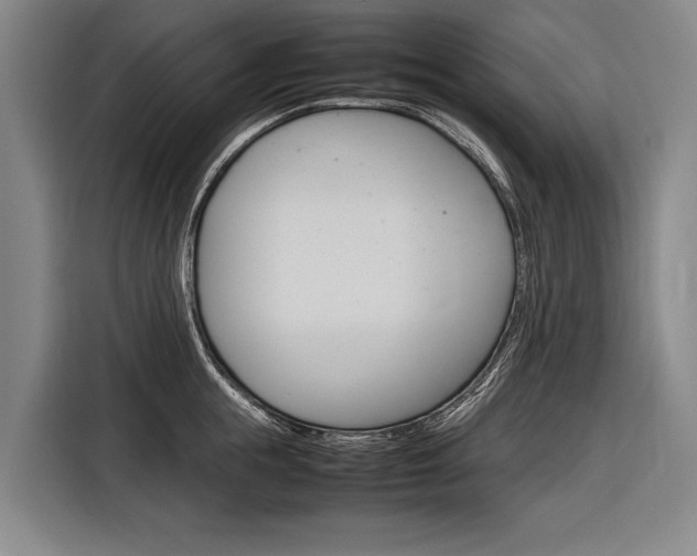 X0000116880855200912220943