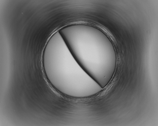 X0000116880858200912220943