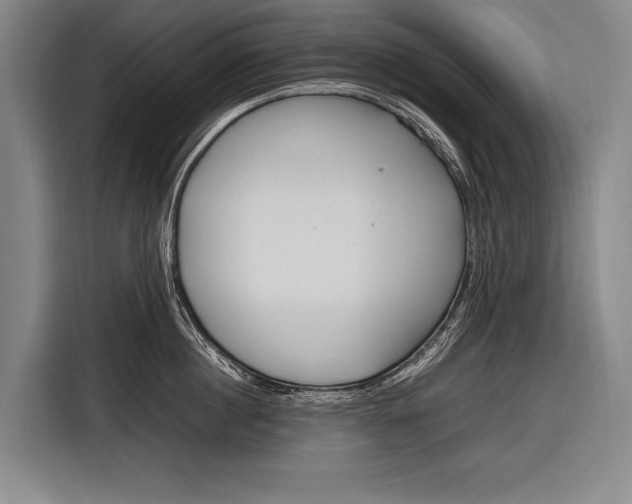 X0000116880860200912220943