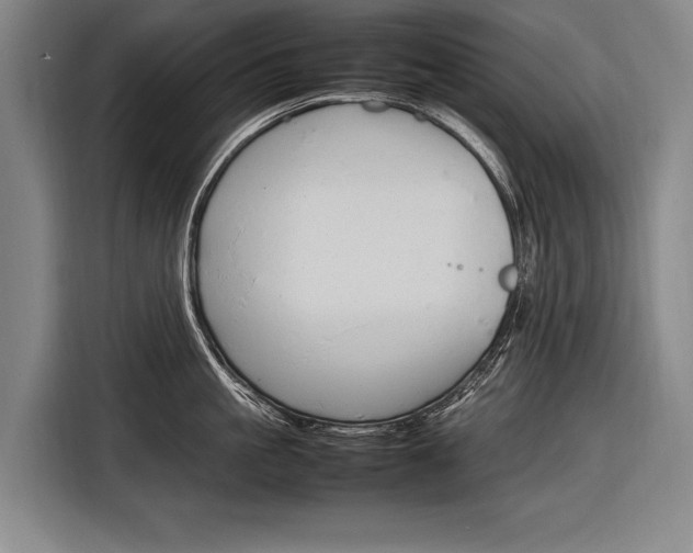 X0000116880861200912220943