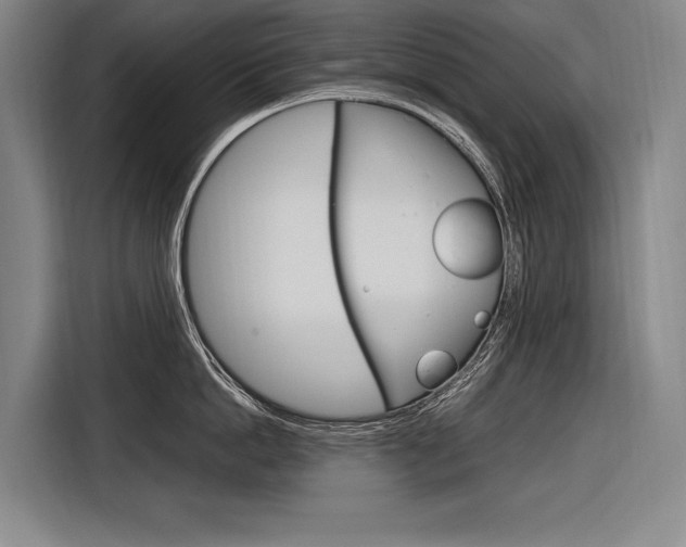 X0000116880862200912220943