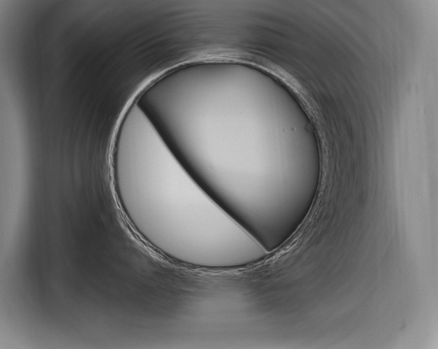 X0000116880864200912220943