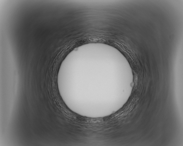 X0000116880865200912220942
