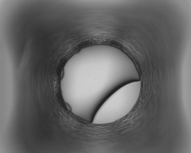 X0000116880867200912220942