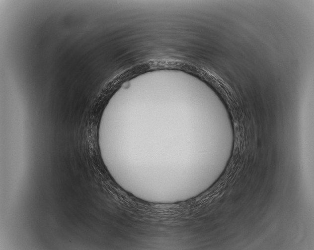 X0000116880870200912220942