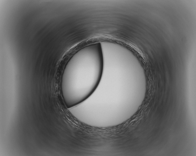 X0000116880872200912220942