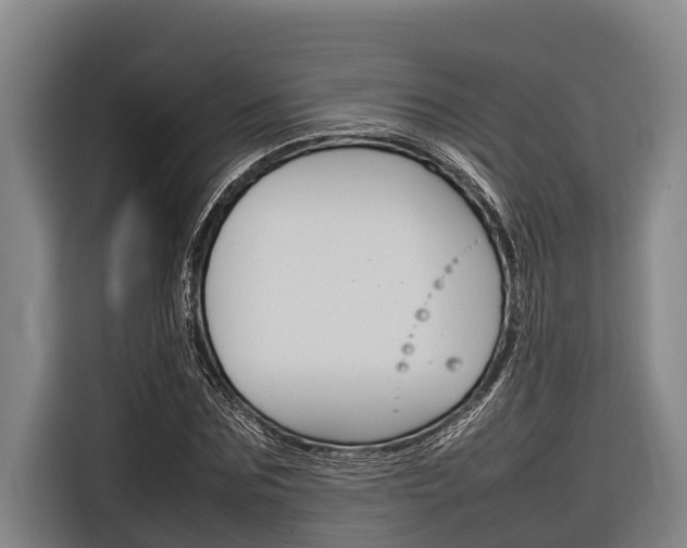 X0000116880875200912220942