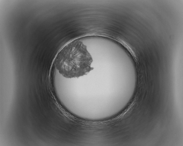 X0000116880876200912220942