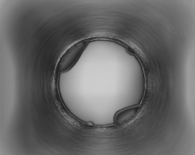 X0000116880880200912220942