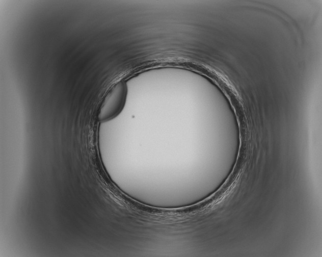 X0000116880881200912220942