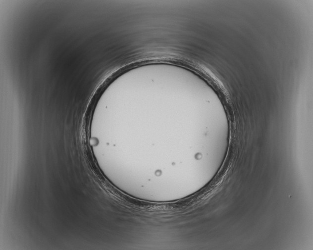 X0000116880883200912220942