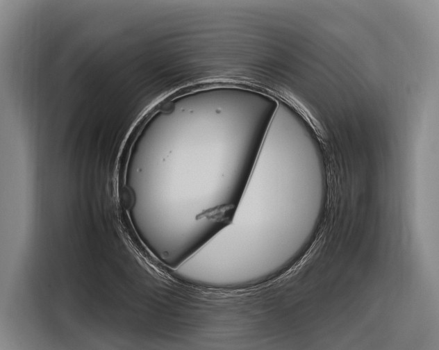 X0000116880884200912220942