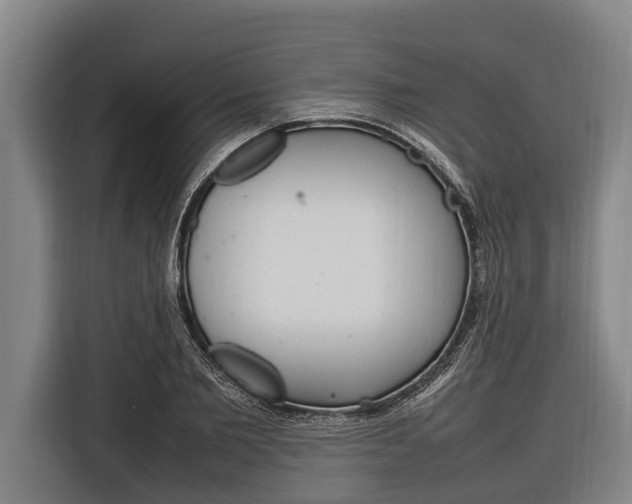 X0000116880885200912220942