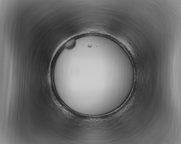 X0000116880888200912220942