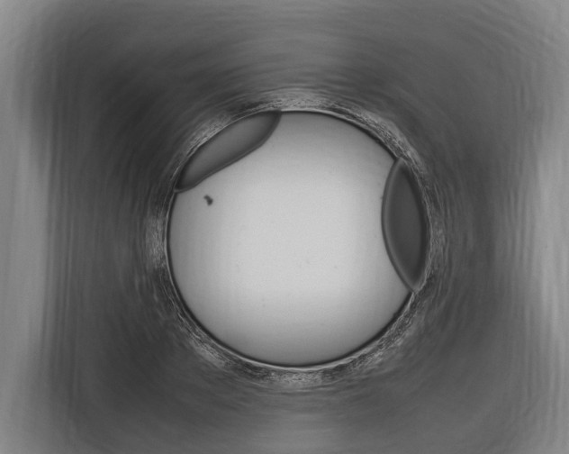X0000116880889200912220942