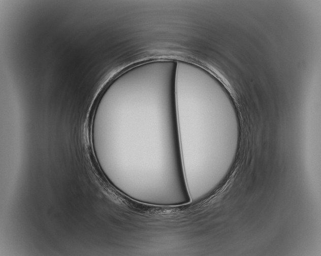 X0000116880891200912220942