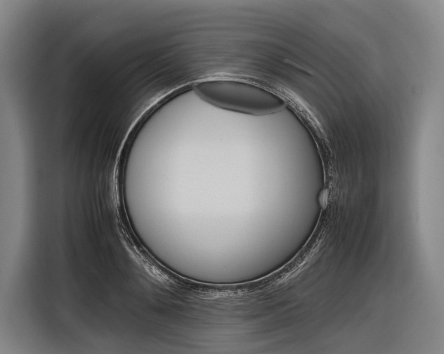 X0000116880892200912220942