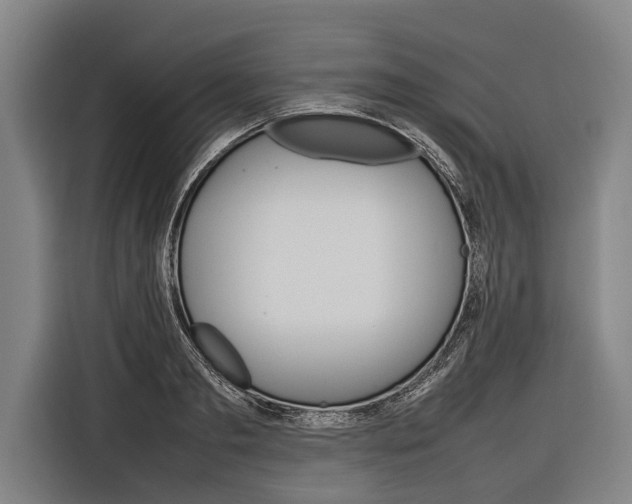 X0000116880893200912220942