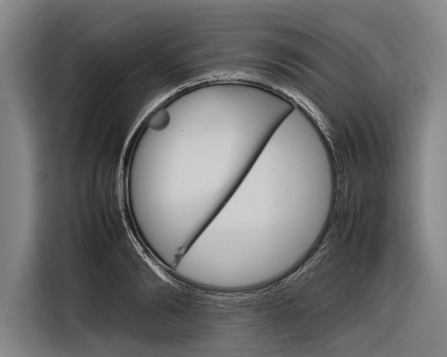X0000116880894200912220942
