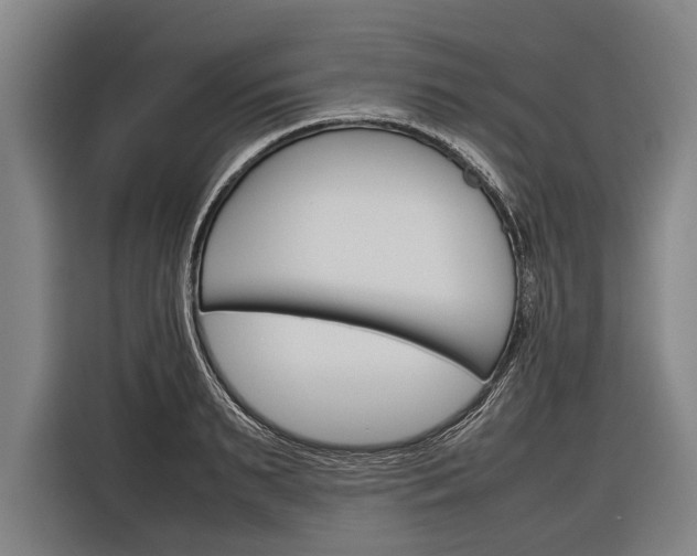 X0000116880895200912220942