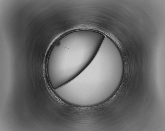 X0000116880896200912220942