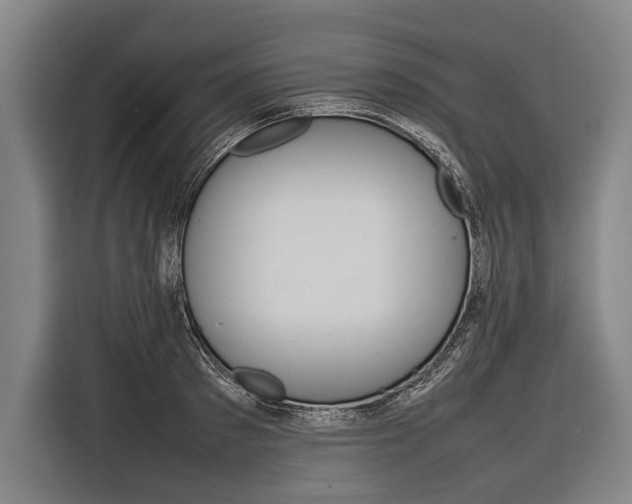 X0000116880897200912220942