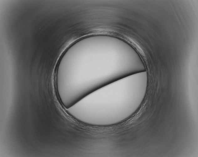 X0000116880899200912220942