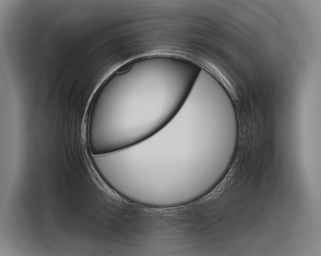 X0000116880900200912220942
