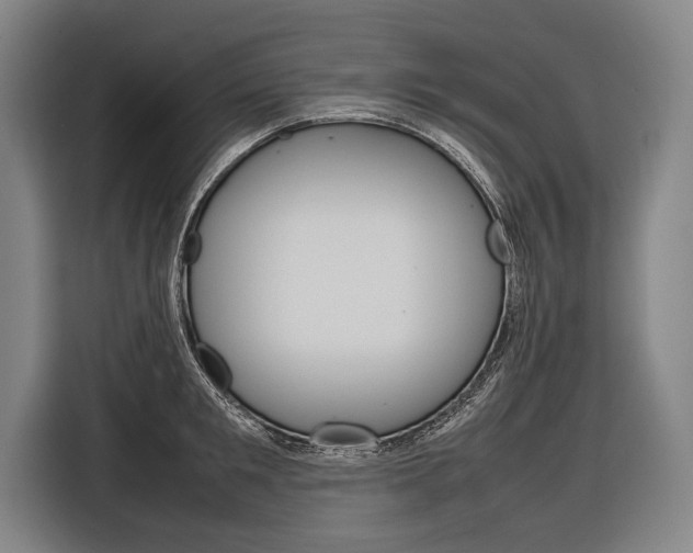 X0000116880901200912220942