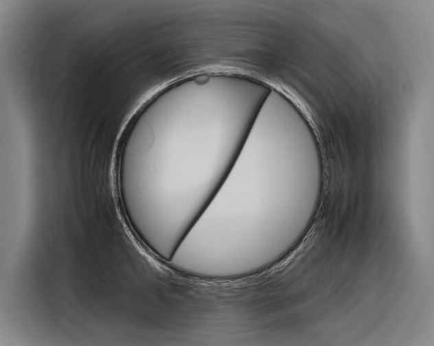 X0000116880902200912220942