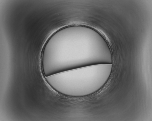 X0000116880903200912220942