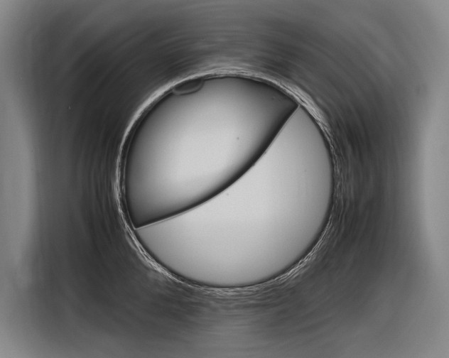 X0000116880904200912220942
