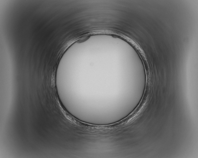 X0000116880905200912220942