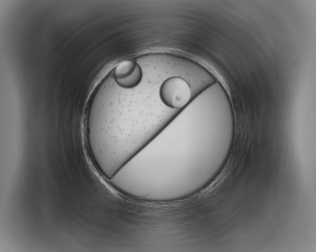 X0000116880906200912220942