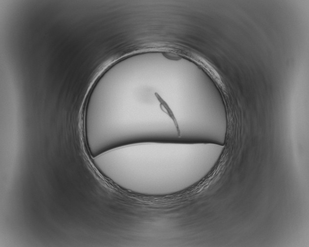 X0000116880907200912220942
