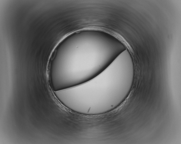X0000116880908200912220942