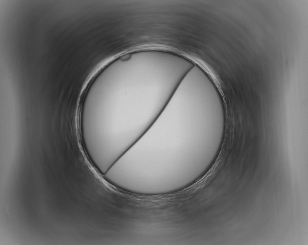 X0000116880910200912220942