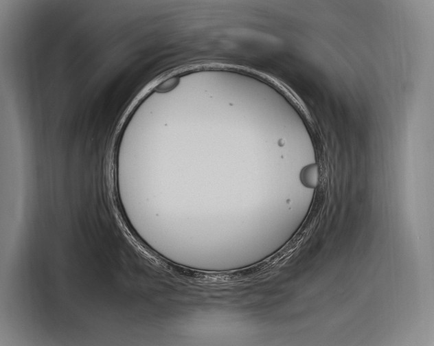 X0000116880911200912220942