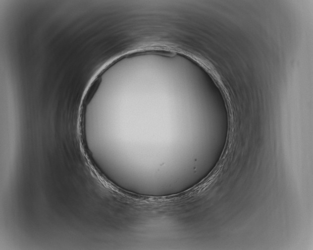 X0000116880912200912220942