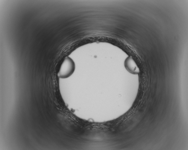 X0000116880918200912220941