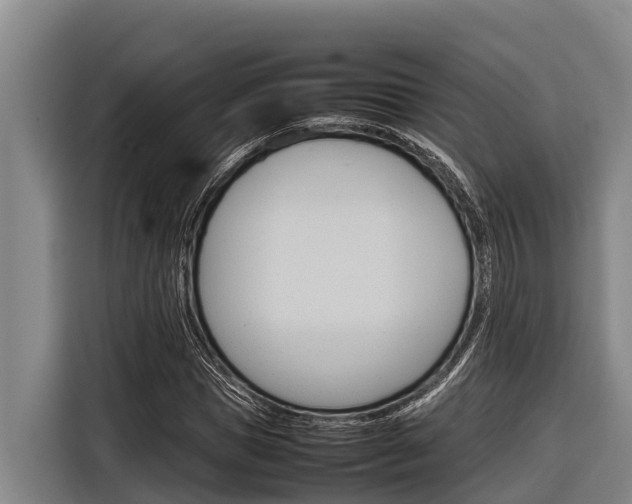 X0000116880921200912220941